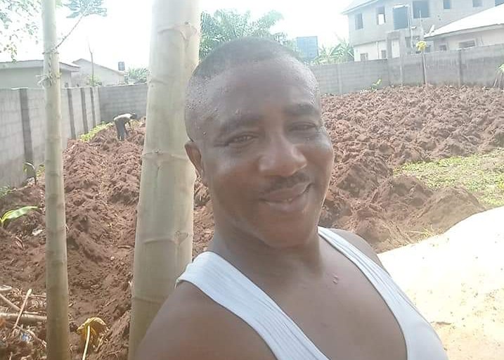 HOW I BECAME AN EMERGENCY FARMER – By Bola Adewara